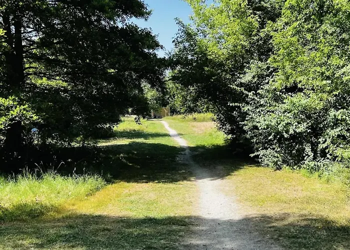 Grande Batisse Fraichement Renovee Bussiares